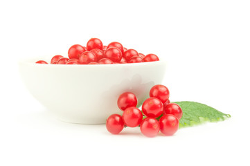 Bunch of red berries- guelder rose isolated on a white background cutout