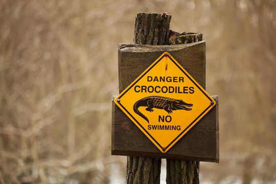 danger  crocodiles sign