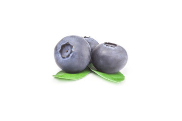 Bog bilberry isolated on a white background cutout