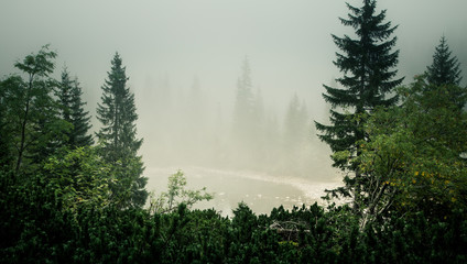 A beautiful mountain lake in a fog in Tatry, Slovakia. Low saturation retro style