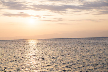 Obraz premium View of Enoshima Island From the Observation Deck at Samuel cocking garden - Kamakura, Japan