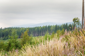 A beautiful Slovakian mountain scenery in Low Tatras