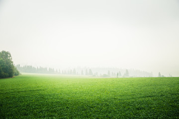 A beautiful misty Slovakian mountain scenery in Low Tatras