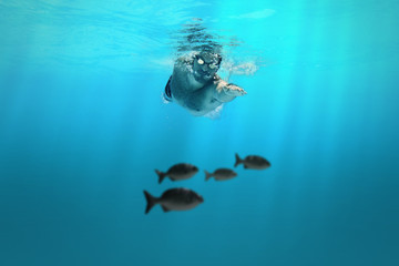 Fototapety na wymiar - Fototapeta24.pl