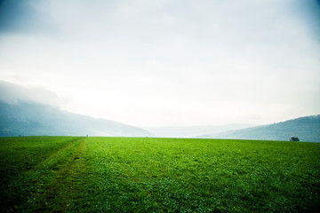A beautiful misty Slovakian mountain scenery in Low Tatras