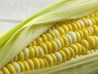 ripe corn
