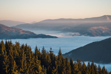 Cloud Foggy Mountain Landscape