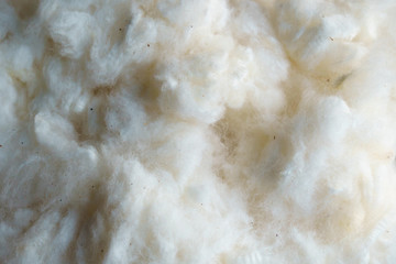 White raw silk wool