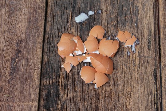 shell of the egg scattered on wooden table background