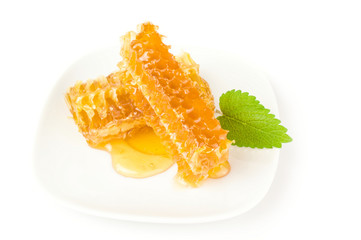 Honey bee isolated on a white background cutout