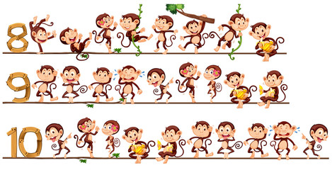 Counting numbers with monkeys © GraphicsRF