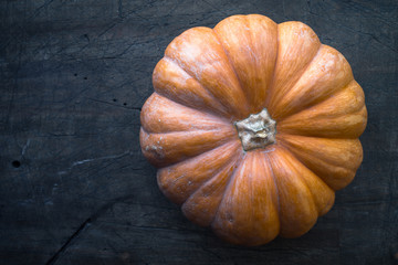 Relief pumpkin on the dark scratched background top view