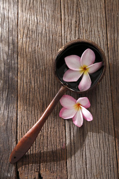 frangipani