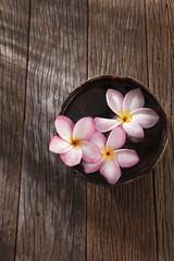 Fototapeta na wymiar pink frangipani