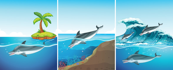 Ocean scene with dolphin swimming © GraphicsRF