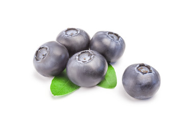 Whortleberry isolated on a white background cutout