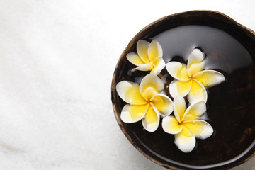 Fototapeta na wymiar yellow white frangipani