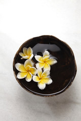 Obraz na płótnie Canvas yellow white frangipani