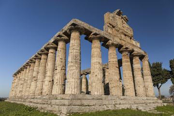Fototapeta premium Greek Athena temple, archaeological site of Paestum, Italy