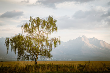 Obraz na płótnie Canvas A beautiful Slovakian landscape with Tatra mountains in background