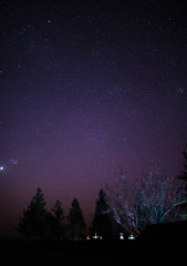 Naklejka premium starry night sky with trees
