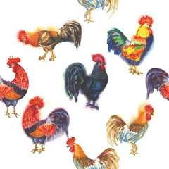 Watercolor Roosters. Hand drawn illustration