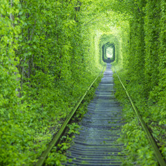 forest tunnel and rail way in spring time