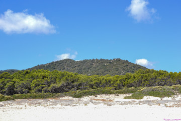 Fototapeta na wymiar Beach of Cala Sinzias in Villasomius - Sardegna - Italy