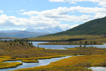 Swampy shore alpine lake. Autumn colors. Hills and clouds reflected in the water. Snow-capped mountains on the horizon Photo partially tinted. 