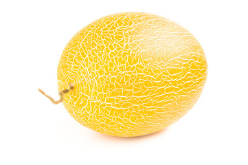 Sweet melon isolated on a white background cutout