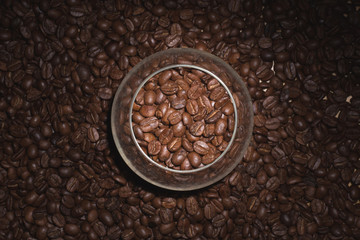 coffee bean