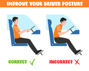 Spine Postures For Driver Illustration