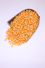 corn maize