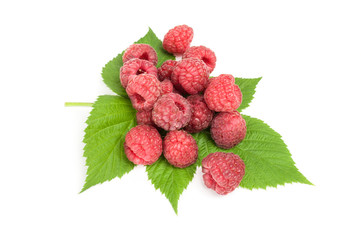 Rubusberry isolated on a white background cutout