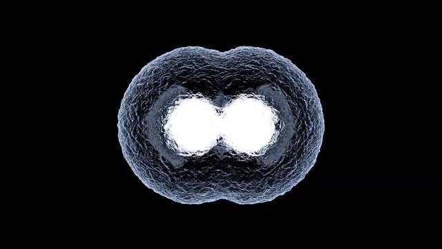 3D rendered Animation of the Mitosis and replication of a generic biological Cell.
