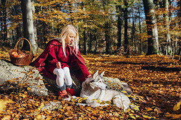 Red Riding Hood, Girl sitting on tree trunk in forest petting husky