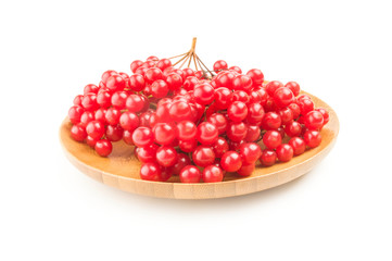 Viburnum opulus isolated on a white background cutout