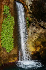 Fototapeta na wymiar beautiful waterfall among the forest