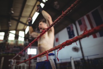 Obraz na płótnie Canvas Boxer posing after victory