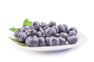 Fresh bilberry