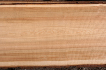 Top view on wooden texture larch slab with bark.