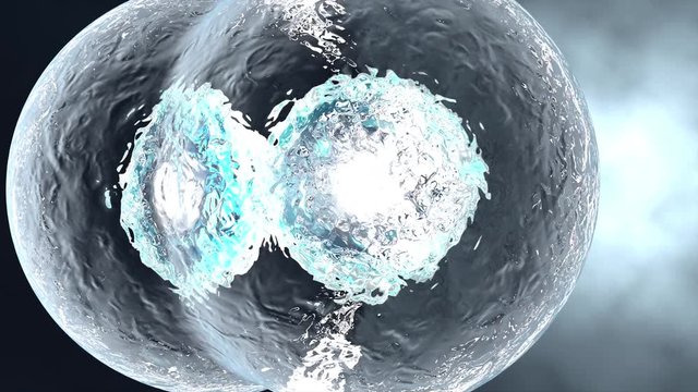 3D rendered Animation of the Mitosis and replication of a generic biological Cell.
