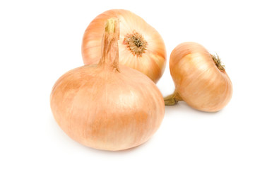 Fresh bulbs of onion isolated on a white background with clipping path