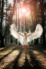 beautiful young model with white angel wings outdoors. Concept of magic and innocence