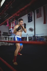 Fototapeta na wymiar Confident boxer performing boxing stance