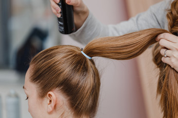 Fototapeta premium woman hairdresser combing golden healthy hair and collects them in a ponytail, hair preparing to further hairstyle