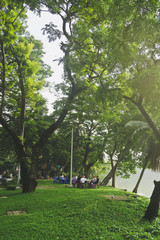 Fototapeta na wymiar LUMPHINI PARK,BANGKOK,THAILAND-NOVEMBER 10, 2016 : The park offers rare open public space, trees, and playgrounds, Lumphini park is popular area for evening joggers, cycling in bangkok