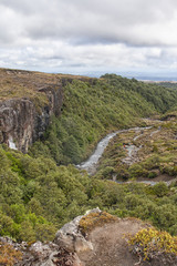 Hiking path near waterfall in New Zealand
