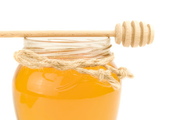 Honey bee isolated on a white background cutout