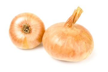 Fresh bulbs of onion over a white background